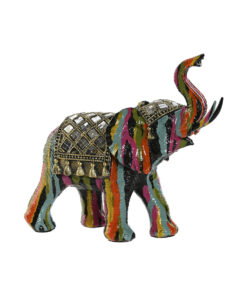 8424002159443_S3058581_P20jpg - Kiekado