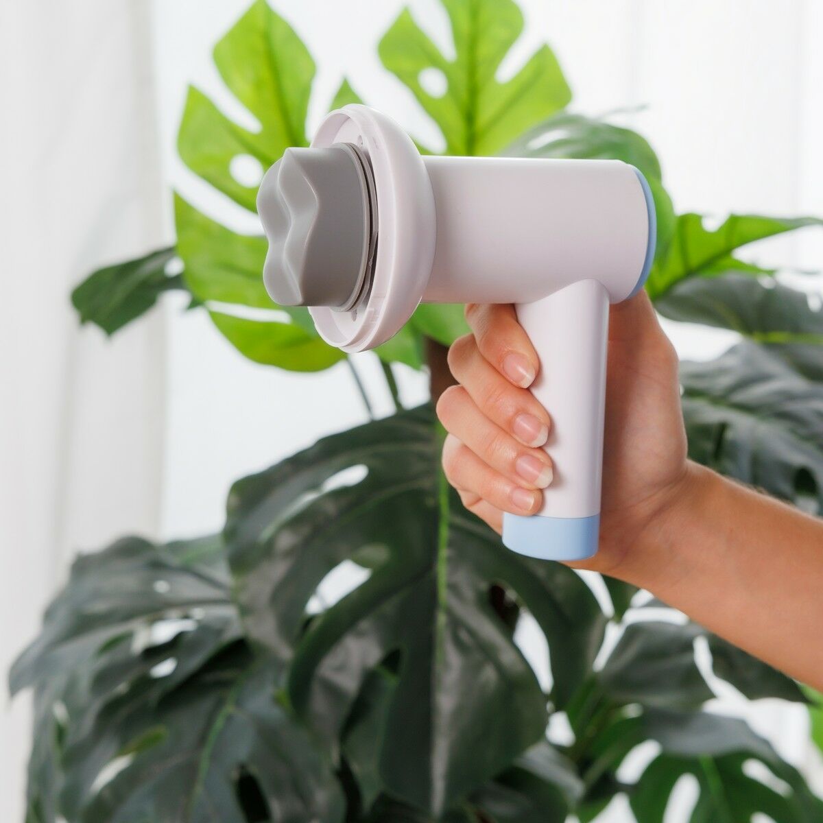 V0103892_013_MKT2jpg - Kiekado