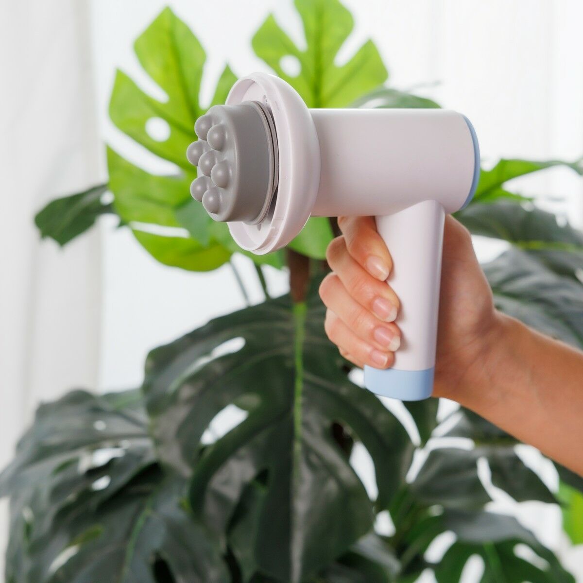 V0103892_015_MKT2jpg - Kiekado