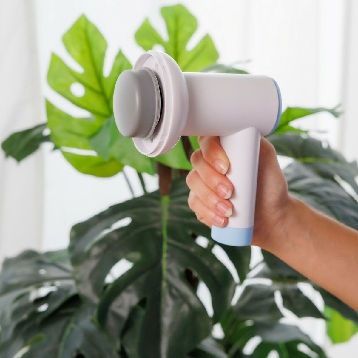 V0103892_016_MKT2jpg - Kiekado